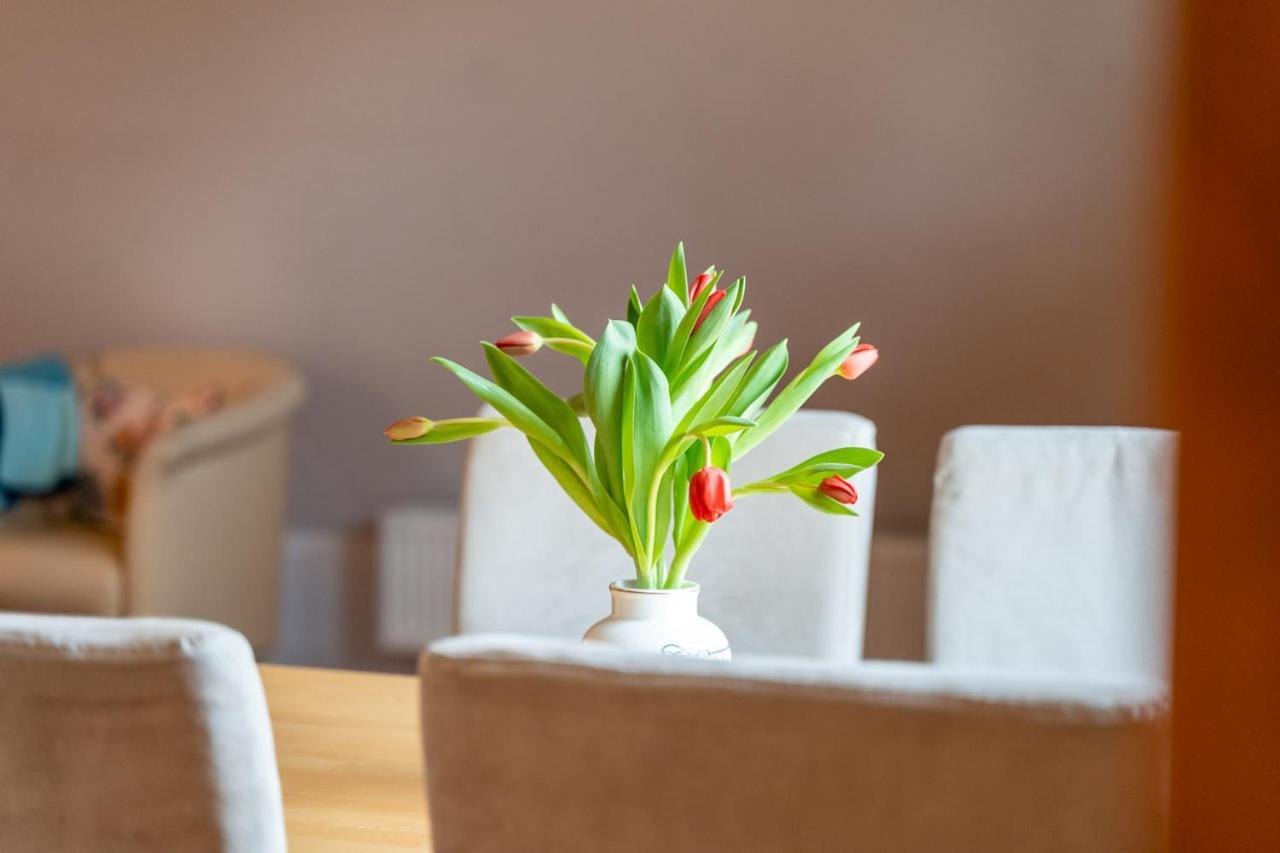 Ferienwohnung 1 Im Landhaus Am Wildpark Boek ภายนอก รูปภาพ